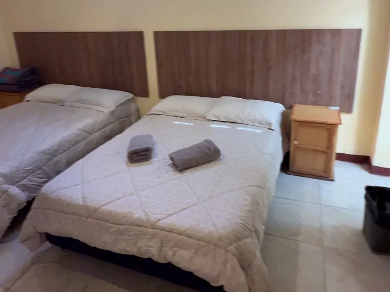 Wild Olive Guest House