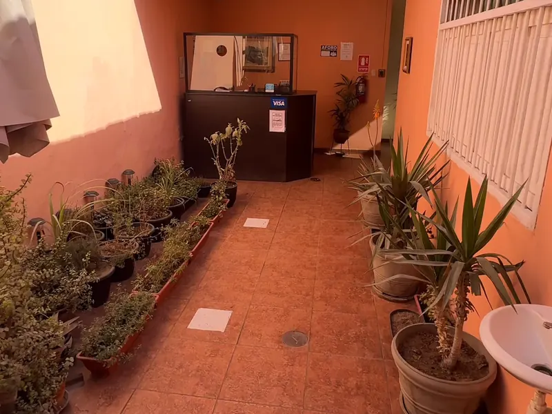 Wild Olive Guest House