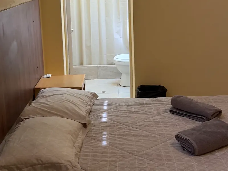 Wild Olive Guest House