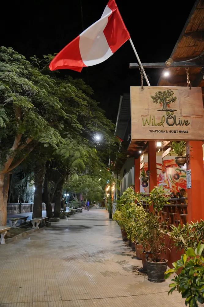 Wild Olive Trattoria